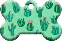 Cactus_06